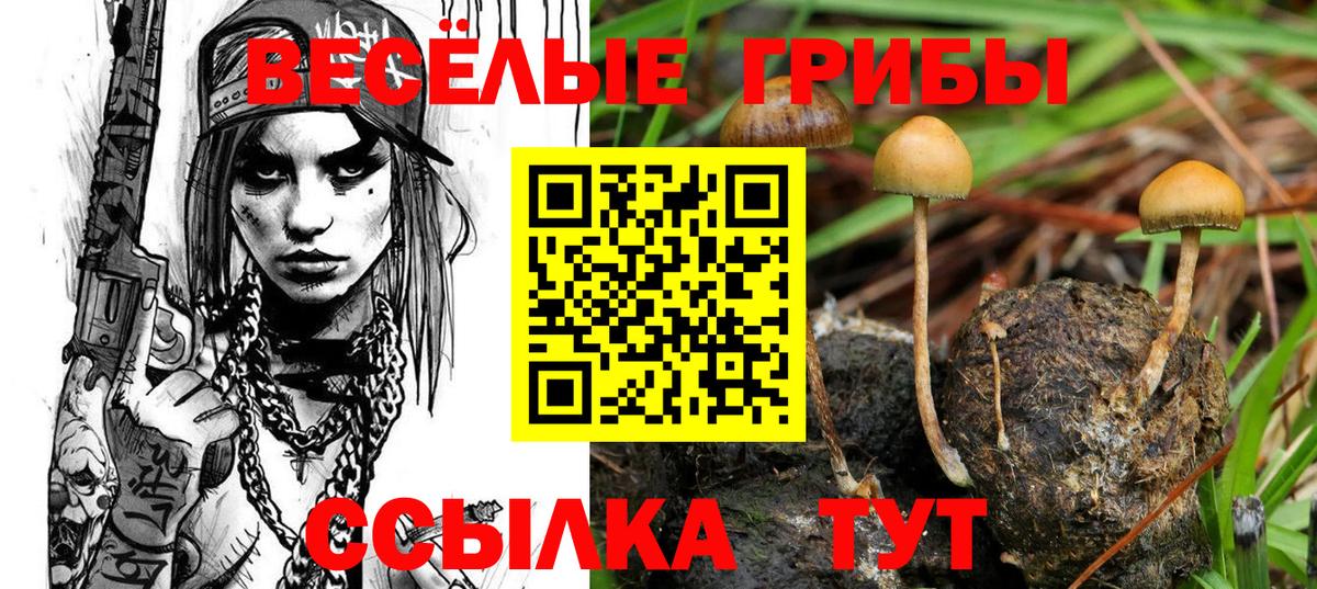 Псилоцибиновые грибы ЛСД  Галлюциногенные грибы ЛСД  Вход с VPN  Тавда 