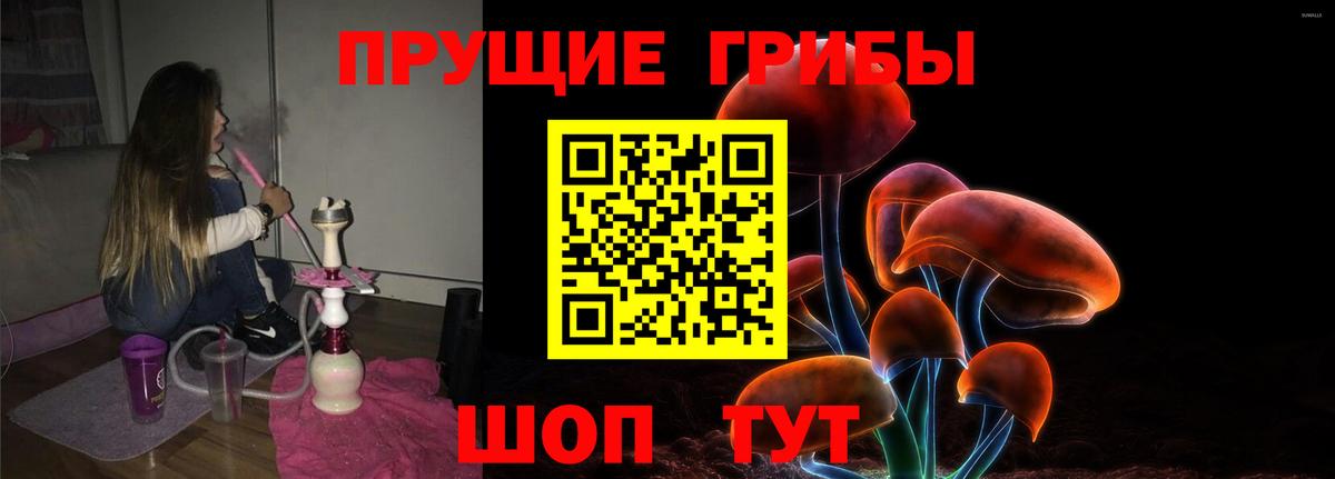Псилоцибиновые грибы MAGIC MUSHROOMS Тавда